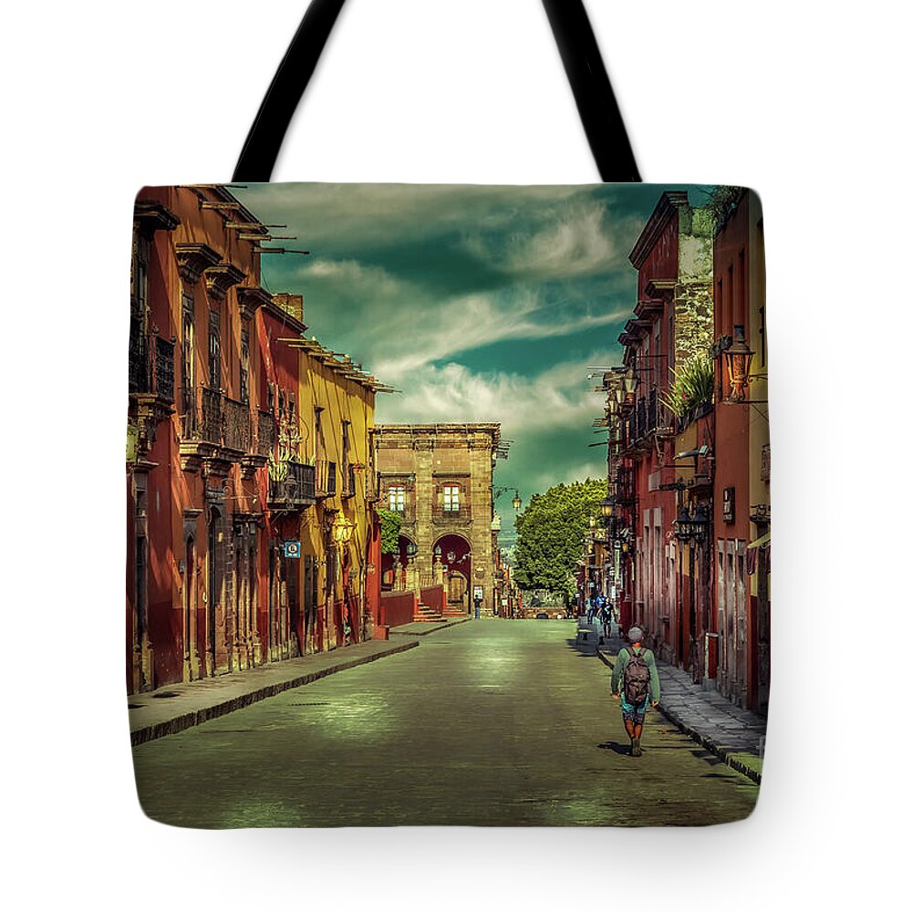 San Miguel Tote Bag featuring the photograph No Body by Barry Weiss