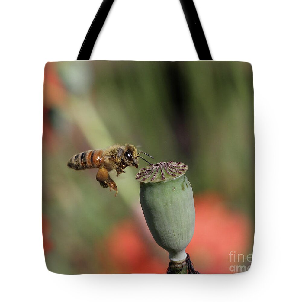 Honeybee Tote Bag featuring the photograph No Pollen Here by Gary Wing