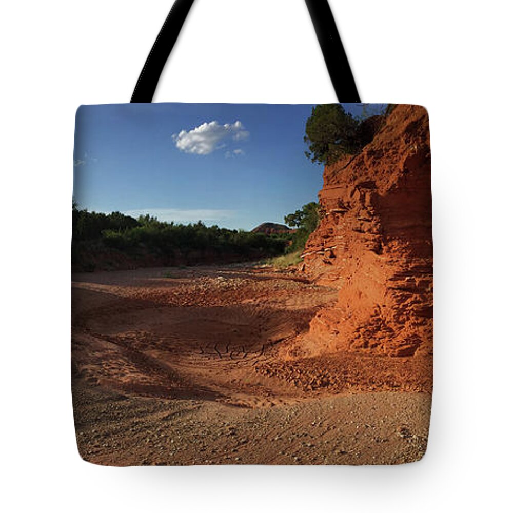 Richard E. Porter Tote Bag featuring the photograph No Water Here, Caprock Canyons State Park, Texas by Richard Porter