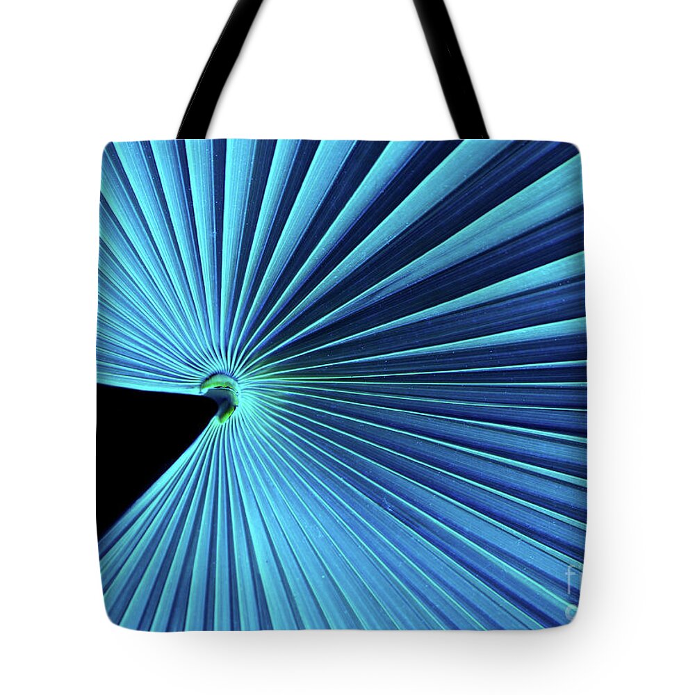Pleated Tote Bag featuring the photograph No.13 by Mehran Akhzari