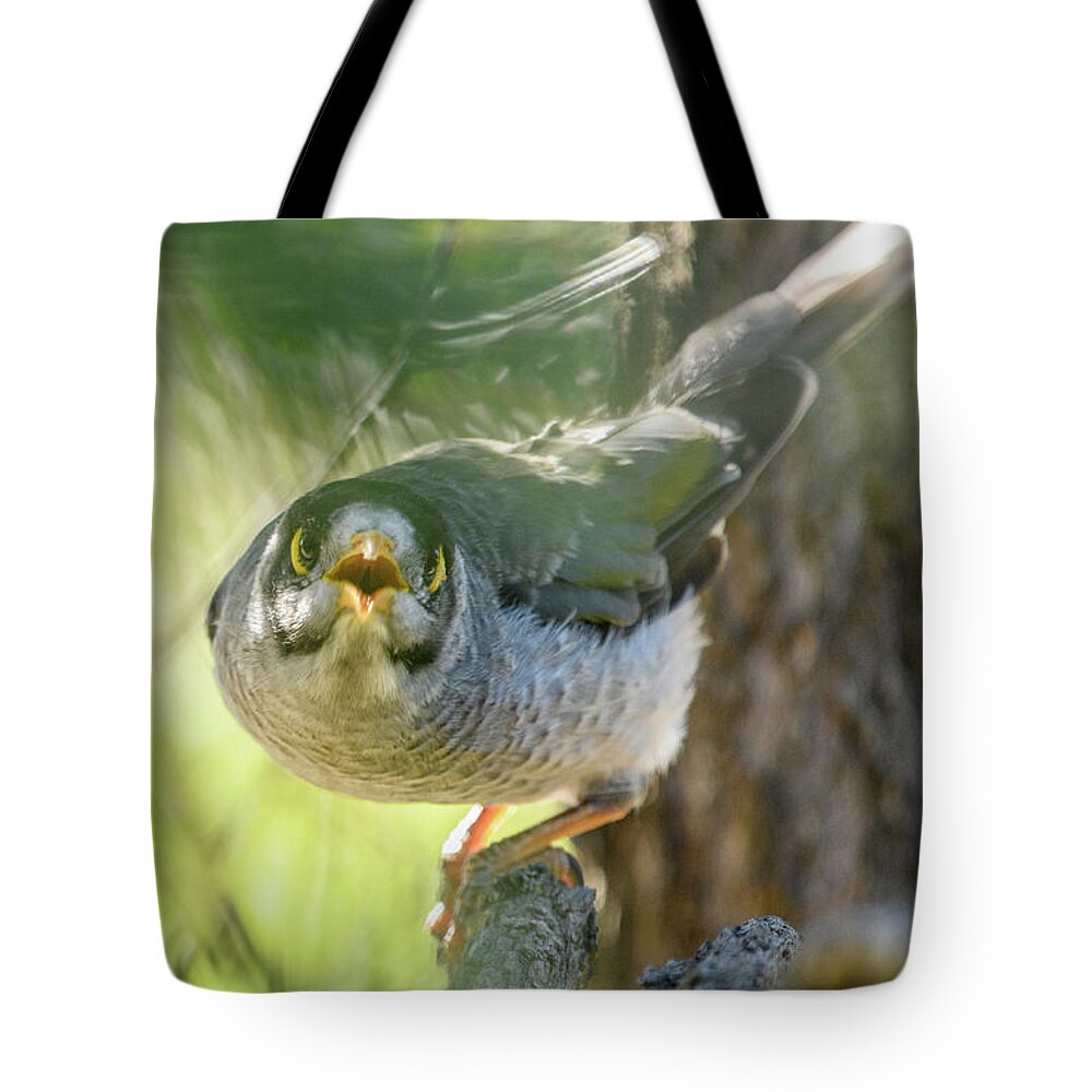 Bird Tote Bag featuring the photograph Noisy Miner 03 by Werner Padarin