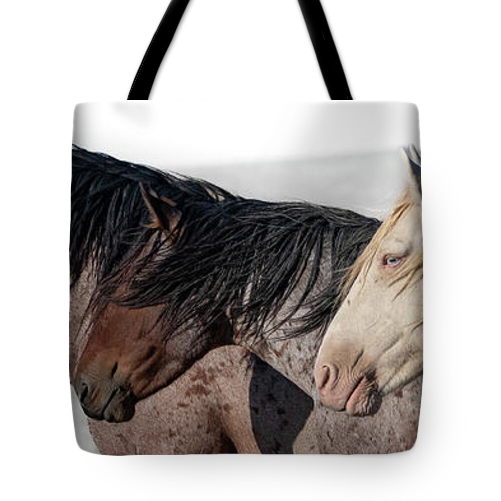 Panorama Tote Bag featuring the photograph Norman and Friends by Mary Hone