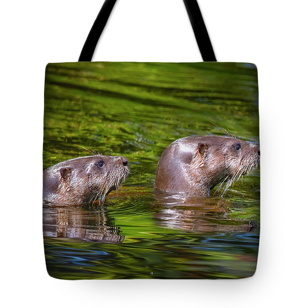 Otter Tote Bag featuring the photograph North American River Otters by Mark Andrew Thomas