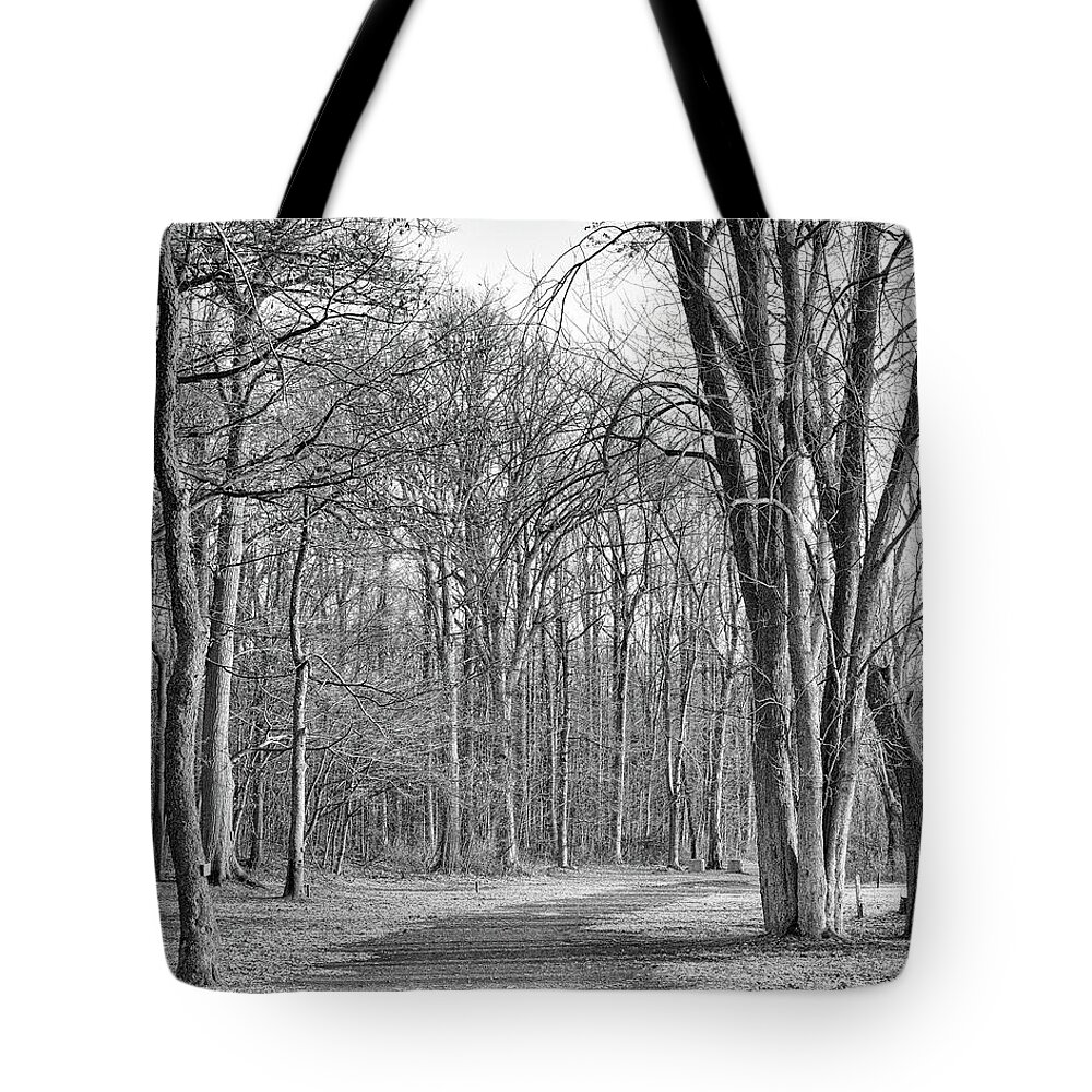Autumn Tote Bag featuring the photograph North Bay Way by Rod Best