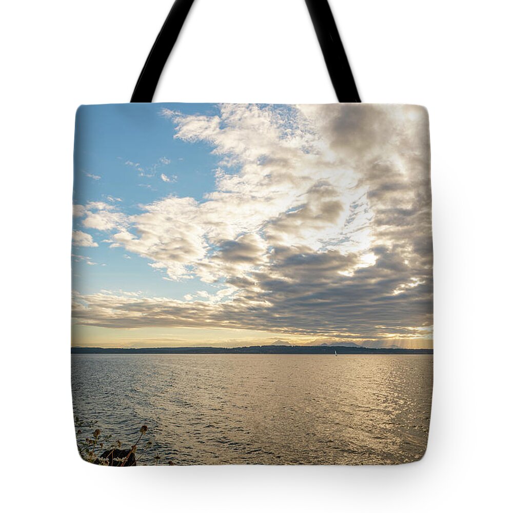 Outdoor; Seattle; Discovery Park; North Beach Trail; North Beach; Clouds; Spring; Endofspring; Sound; Flowers; Light House; Elliot Bay; Olympic Mountains; Patterns Tote Bag featuring the digital art North Beach View near Discovery Park by Michael Lee