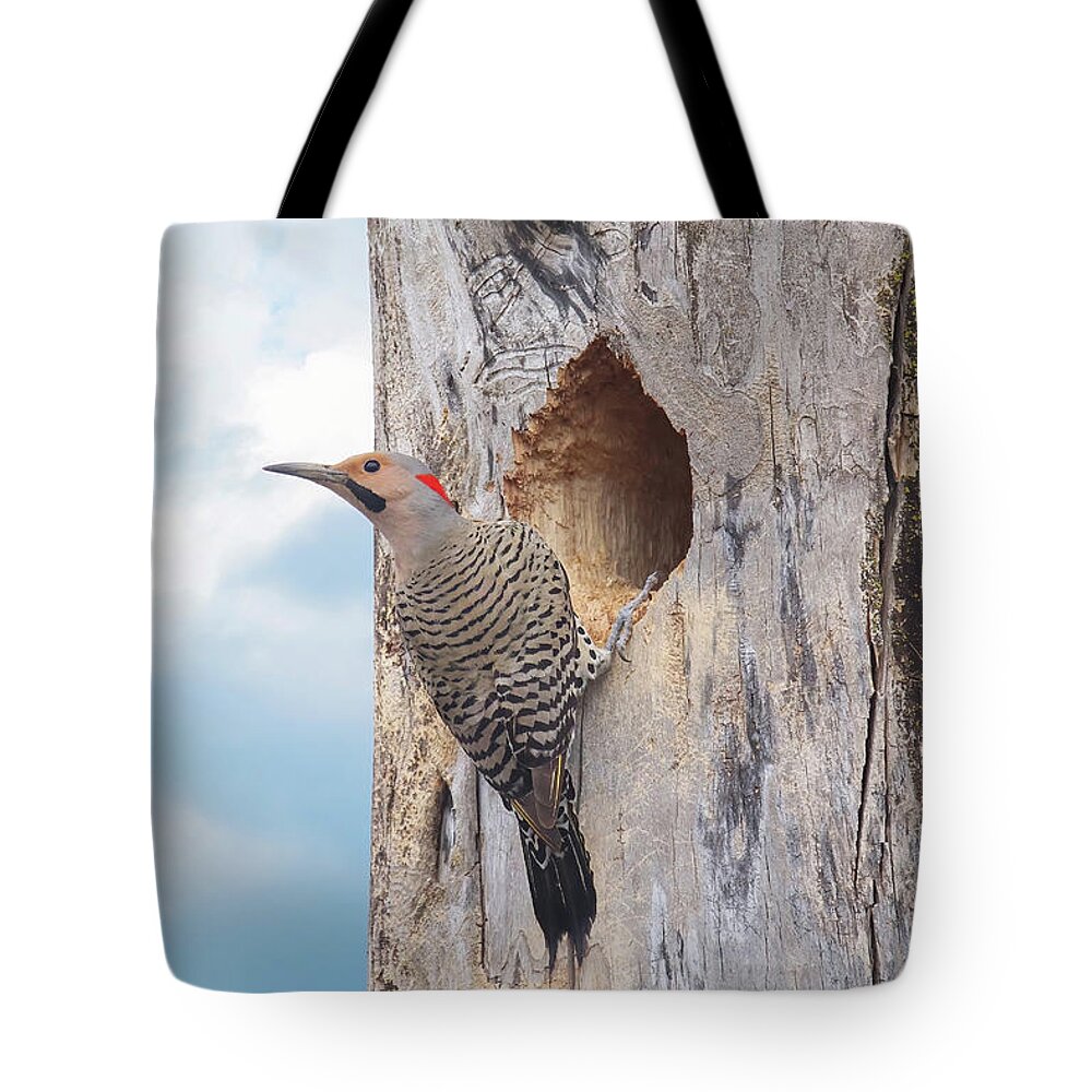 Northern Flicker Tote Bag featuring the photograph Norther Flicker by Brook Burling