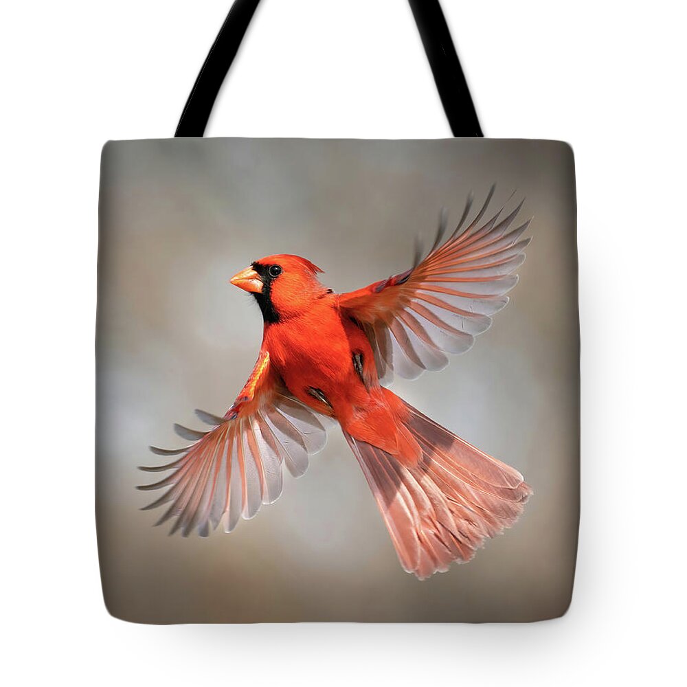 Cardinals Tote Bag featuring the photograph Northern Cardinal Beauty by Judi Dressler