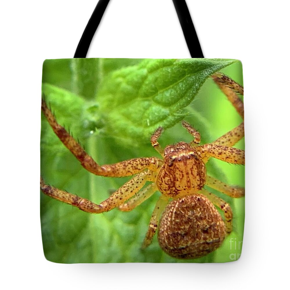 Spider Tote Bag featuring the photograph Northern Crab Spider by Catherine Wilson