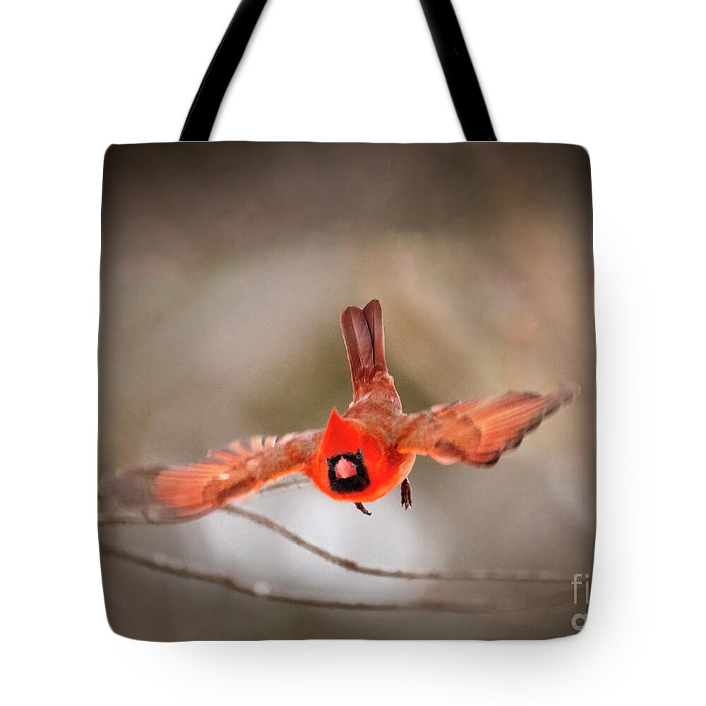 Male Northern Cardinal Tote Bag featuring the photograph Northern Northern Cardinal In-flight by Sandra Rust