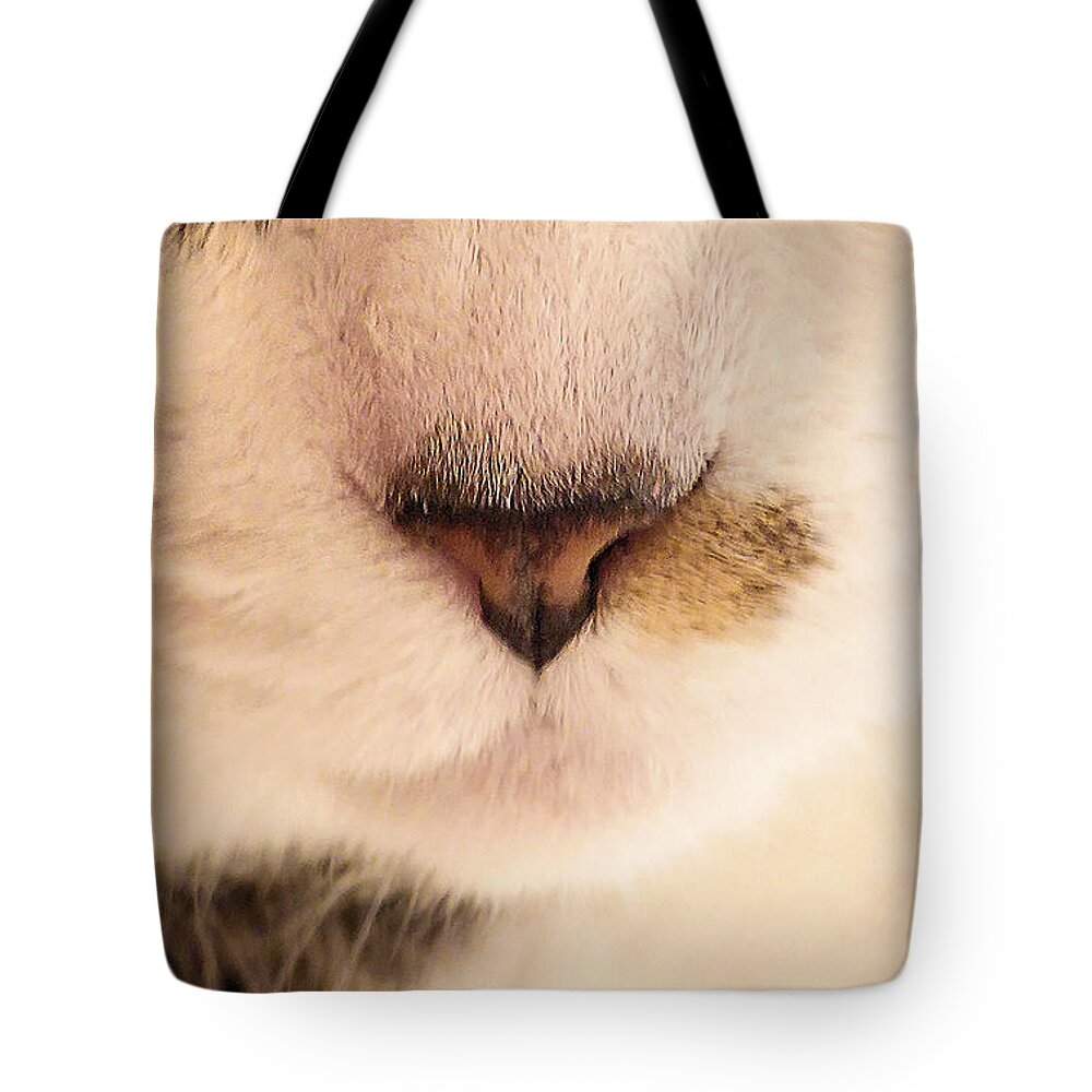 Cat Tote Bag featuring the photograph Nose and Whiskers by Steve Ember