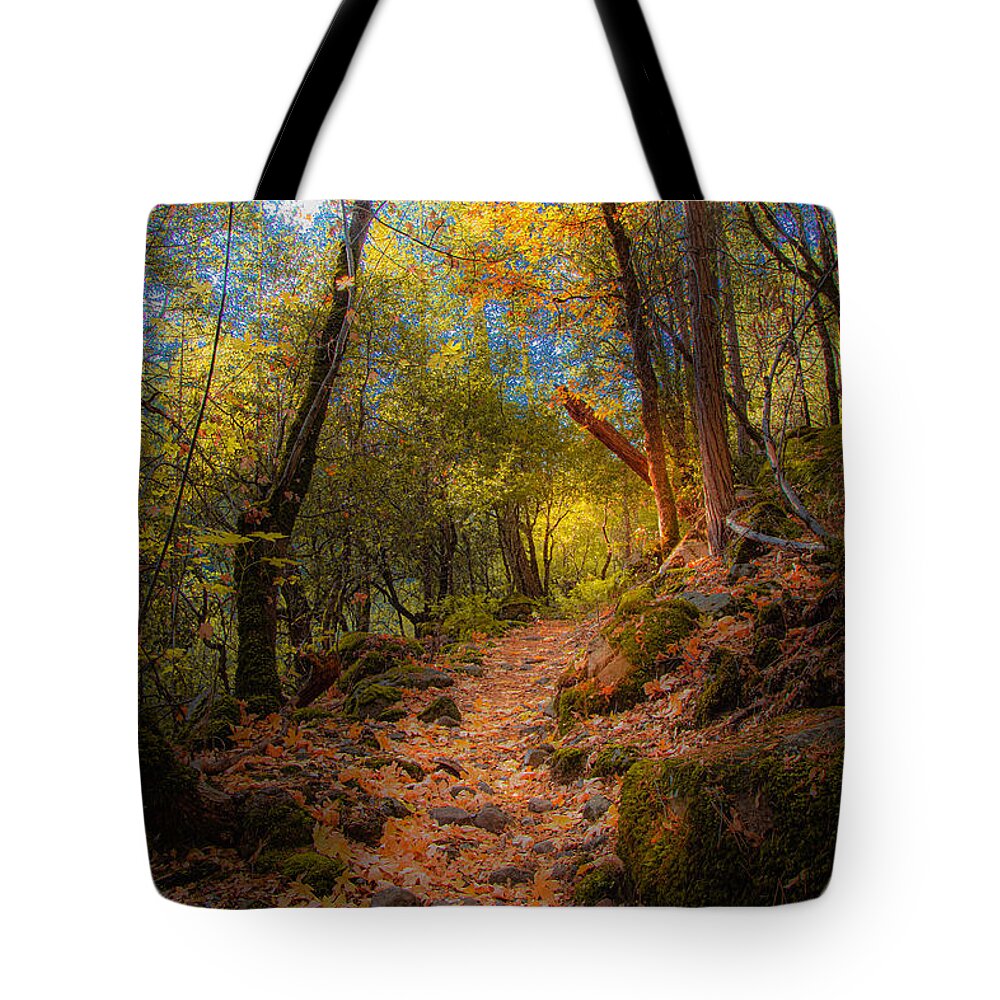 Hiking Tote Bag featuring the photograph Not All Who Wander... by Mike Lee