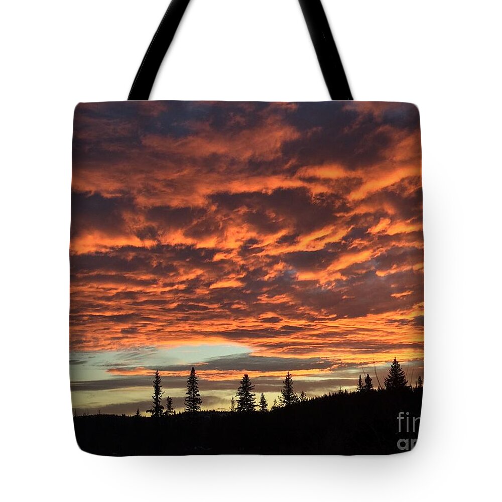 Chilcotin Plateau Tote Bag featuring the photograph November Sunset by Nicola Finch