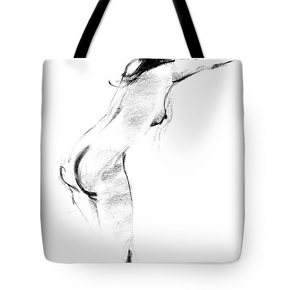 Nude Tote Bag featuring the drawing Nude 012 by Ani Gallery