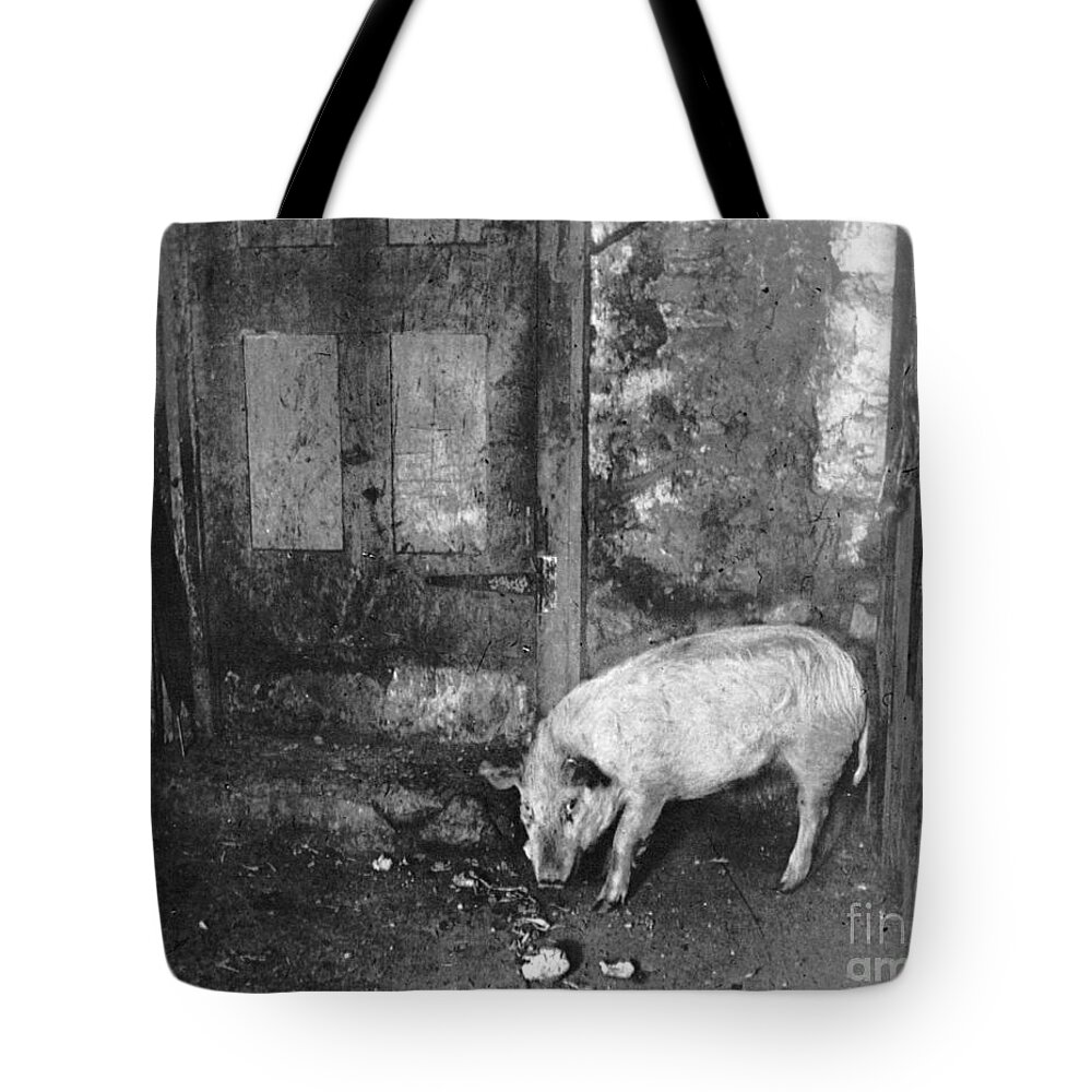 1892 Tote Bag featuring the photograph NYC Tenement, 1892 by Jacob Riis