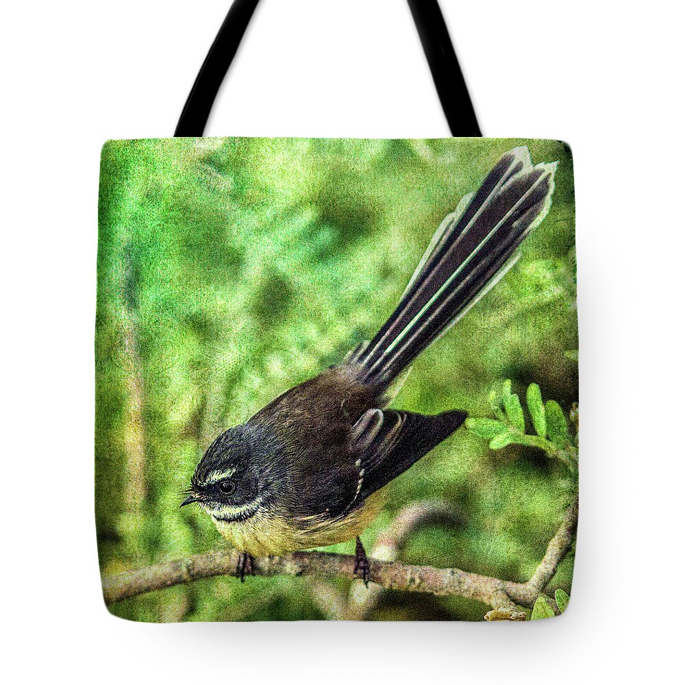 Bird Tote Bag featuring the photograph N.Z. Fantail 3 by Roseanne Jones