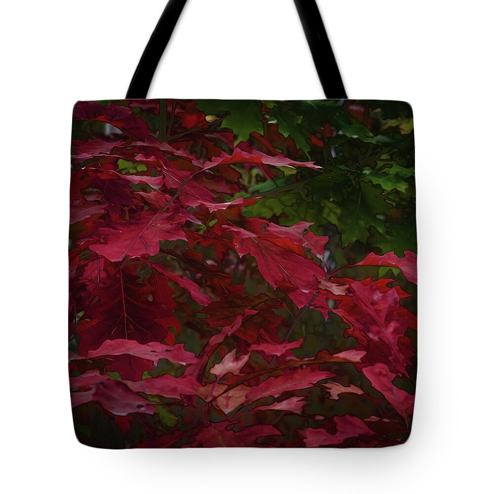 Pictorial Tote Bag featuring the photograph Oak Expression by Andrii Maykovskyi