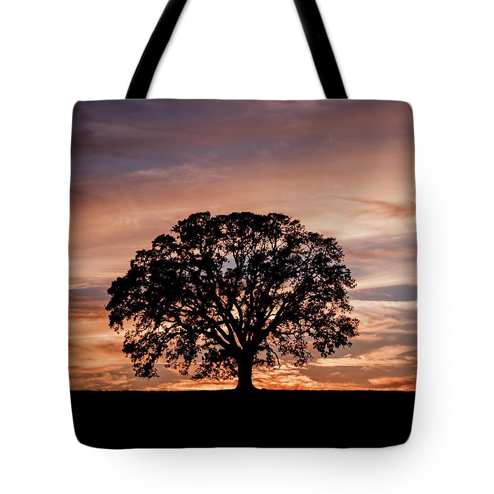 Oak Tree Tote Bag featuring the photograph Oak Tree at Sunset by Gary Geddes
