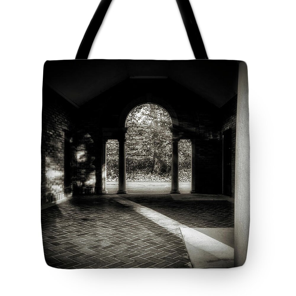 Architecture Tote Bag featuring the photograph Oasis by Mark David Gerson