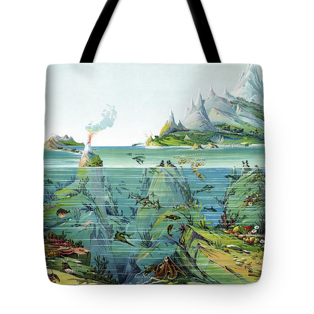 1893 Tote Bag featuring the drawing Oceanic Scene, 1893 by Levi Walter Yaggy