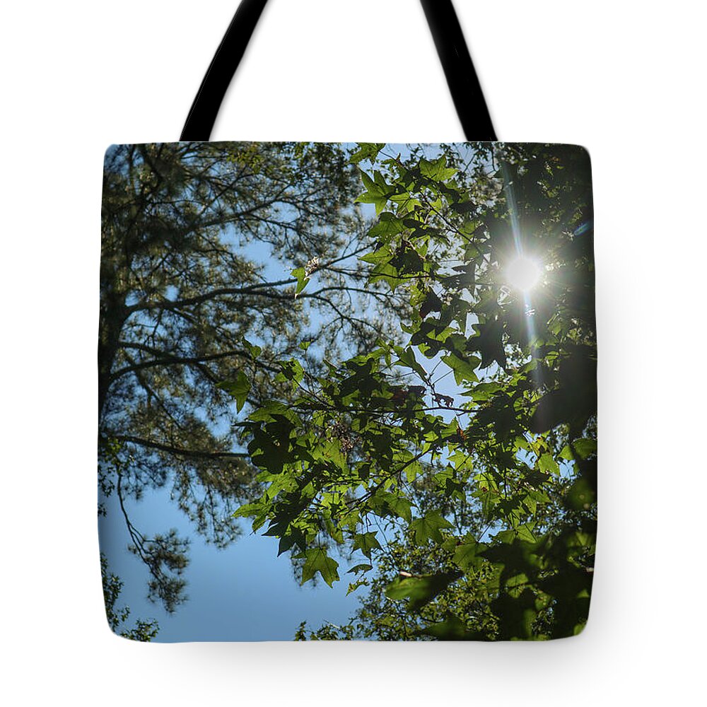 Forest Tote Bag featuring the photograph Ocmulgee Forest Skies by Ed Williams
