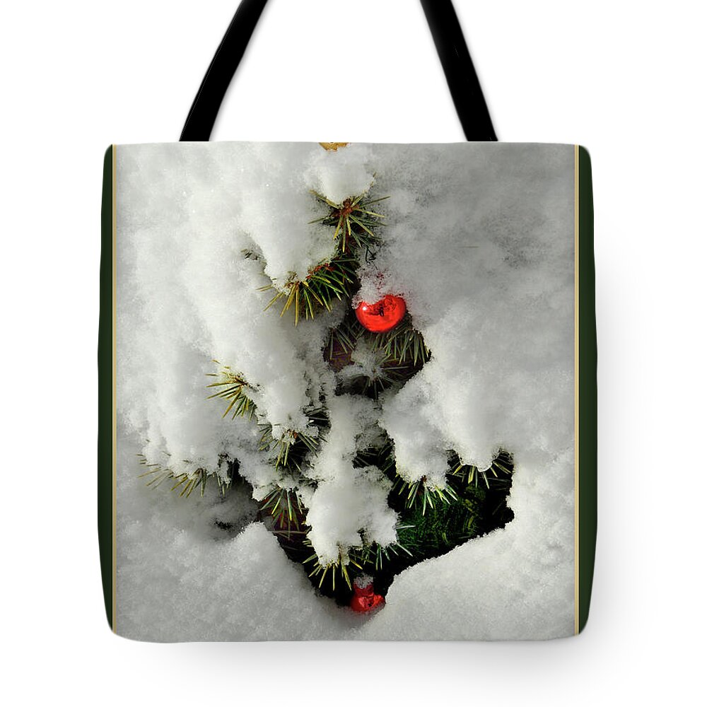 Christmas Tote Bag featuring the photograph Oh Christmas Tree by Nancy Griswold
