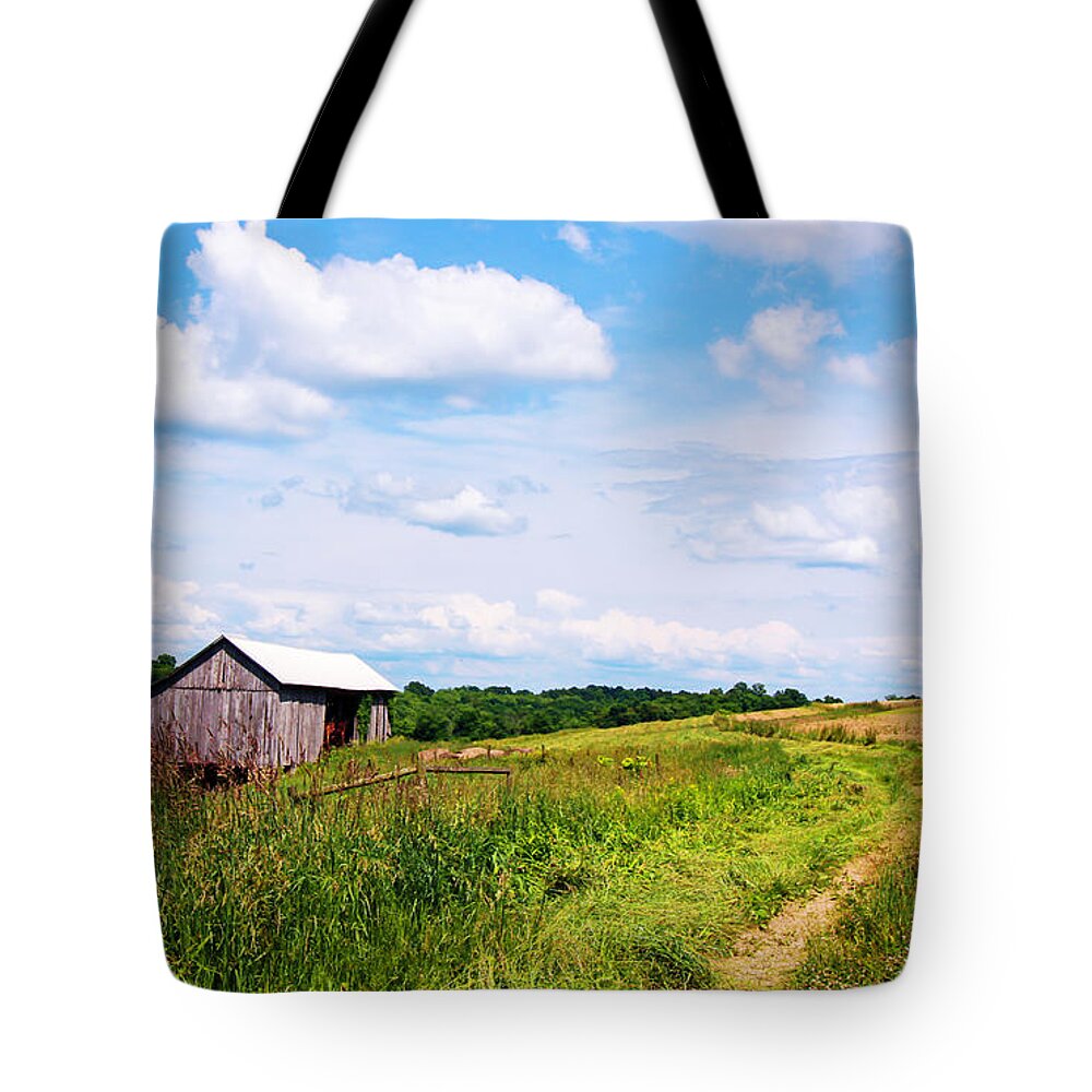 Landscape Tote Bag featuring the photograph Ohio Country Road by Mary Walchuck