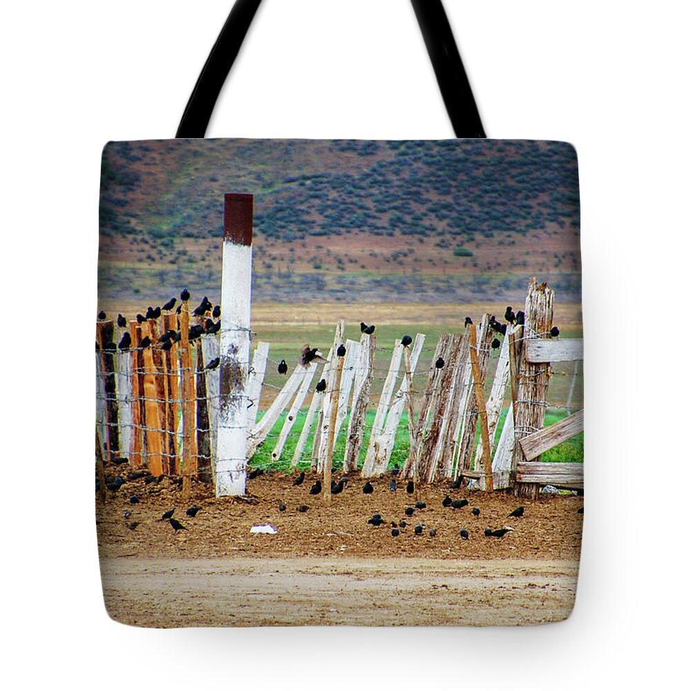 Ojos Negro Tote Bag featuring the photograph Ojos Negros by William Scott Koenig