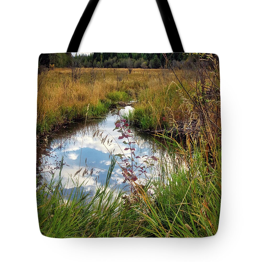 Sky Reflection Tote Bag featuring the photograph Okanogan Highlands by Dan Eskelson