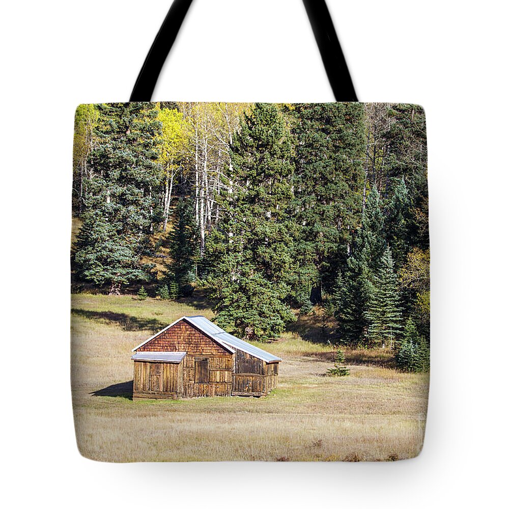 Homestead Tote Bag featuring the photograph Old Colorado Homestead by Shirley Dutchkowski