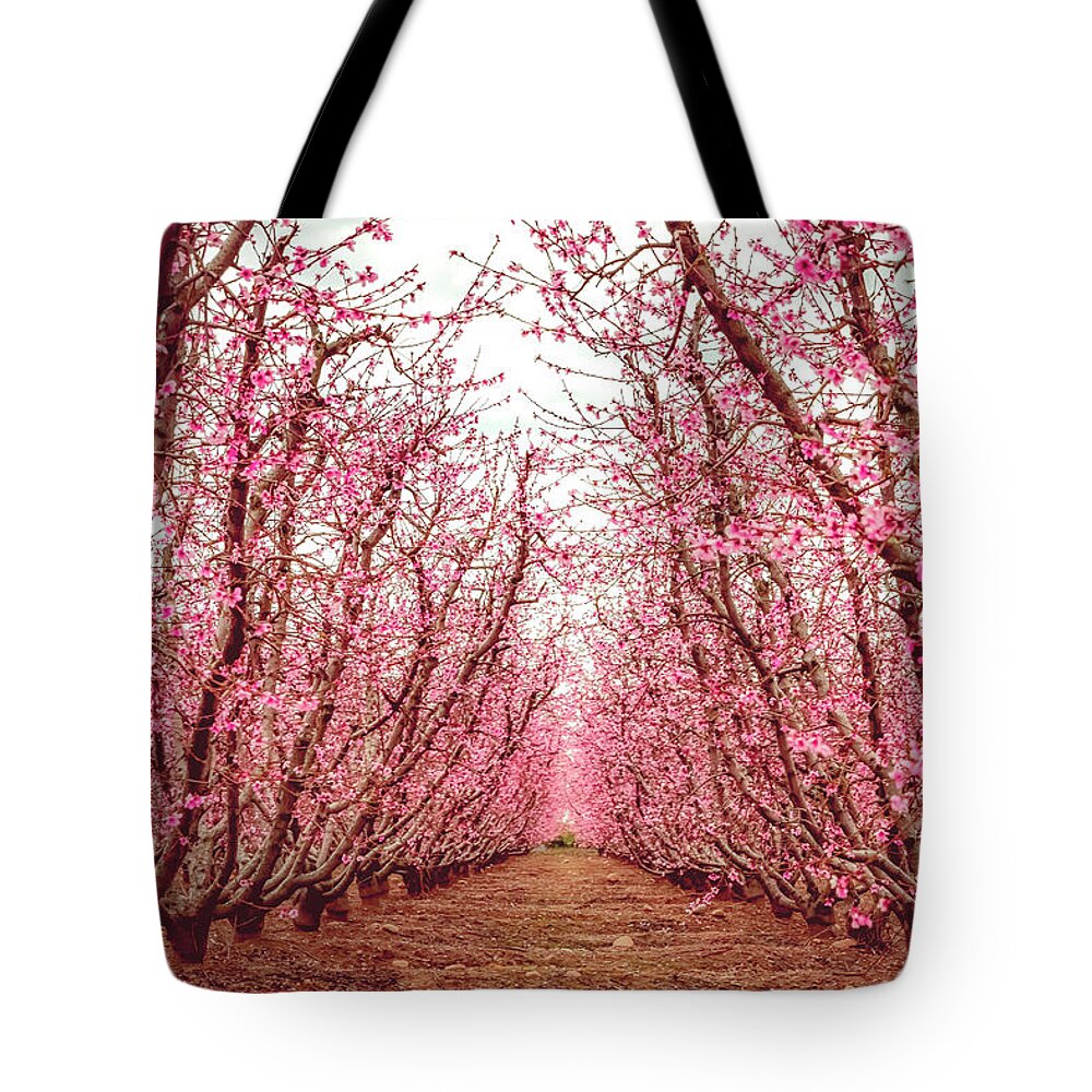 Blossom Trail Tote Bag featuring the photograph Old Fruit Trees With New Blossoms by Elvira Peretsman