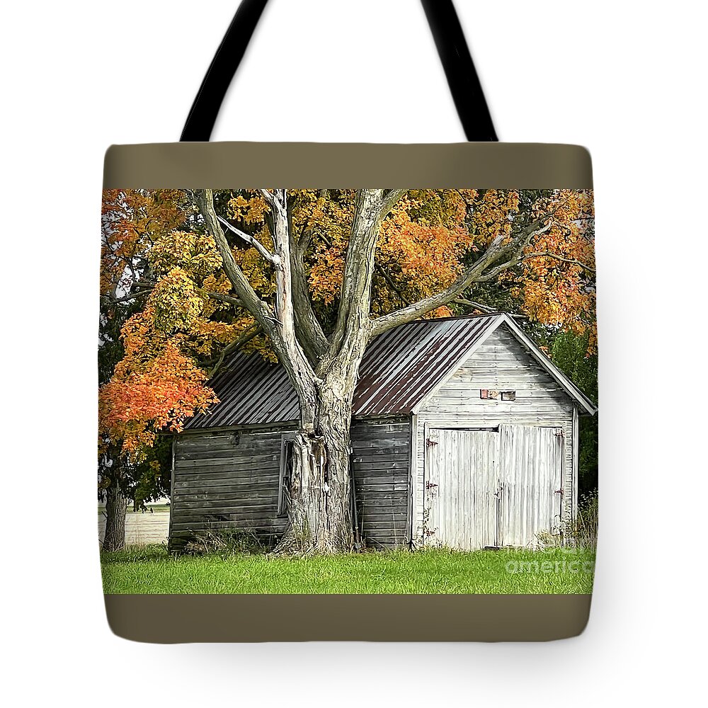 Orange Tote Bag featuring the photograph Old Shed by Paula Guttilla