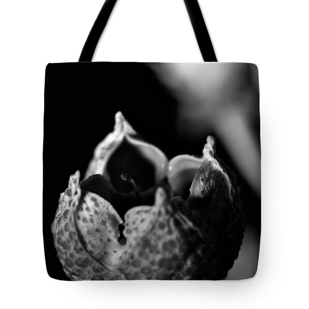 Flower Tote Bag featuring the photograph Old Summer Flower 2 by Angelo DeVal