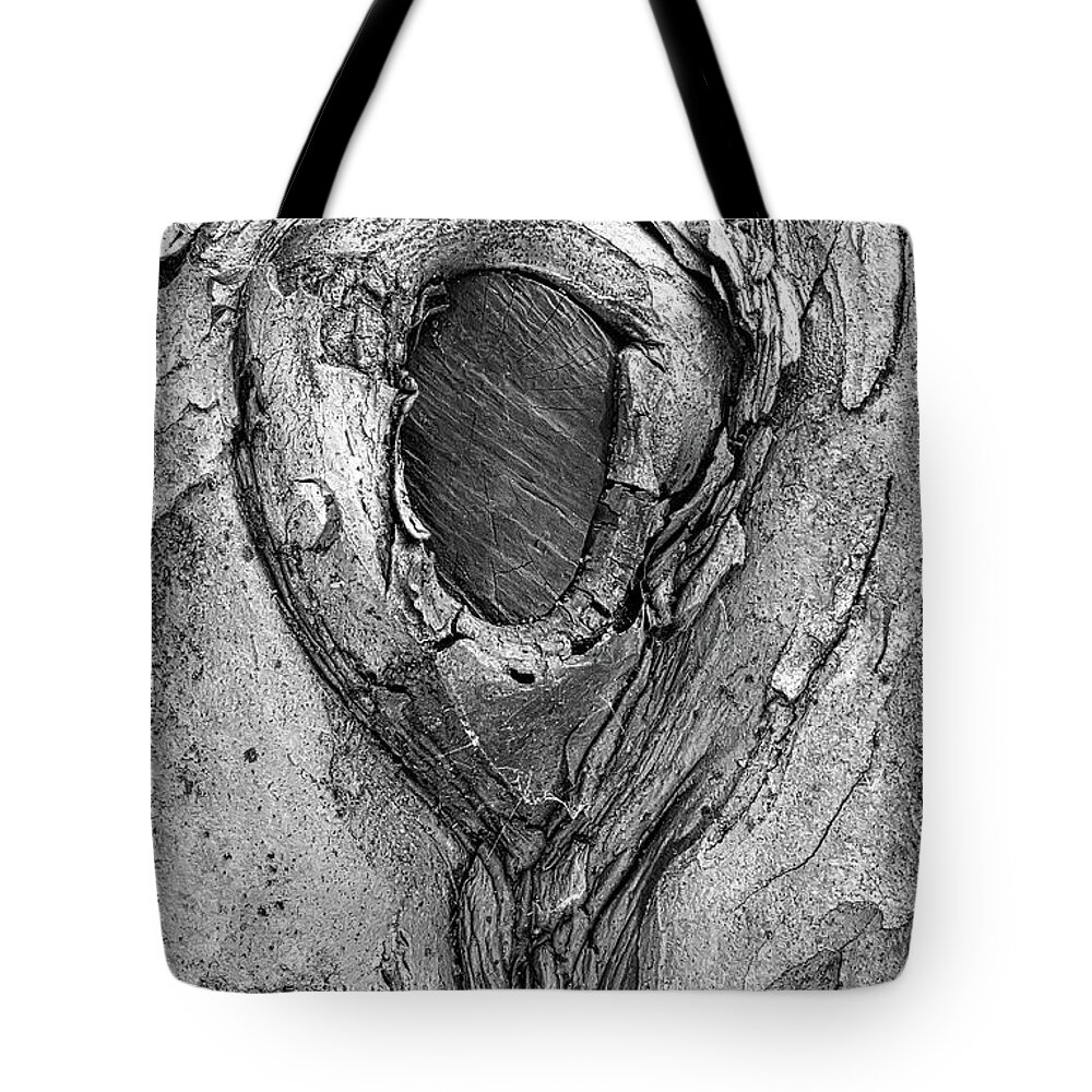 Tree Tote Bag featuring the photograph Old Tree Trunk In The Park by Gary Slawsky