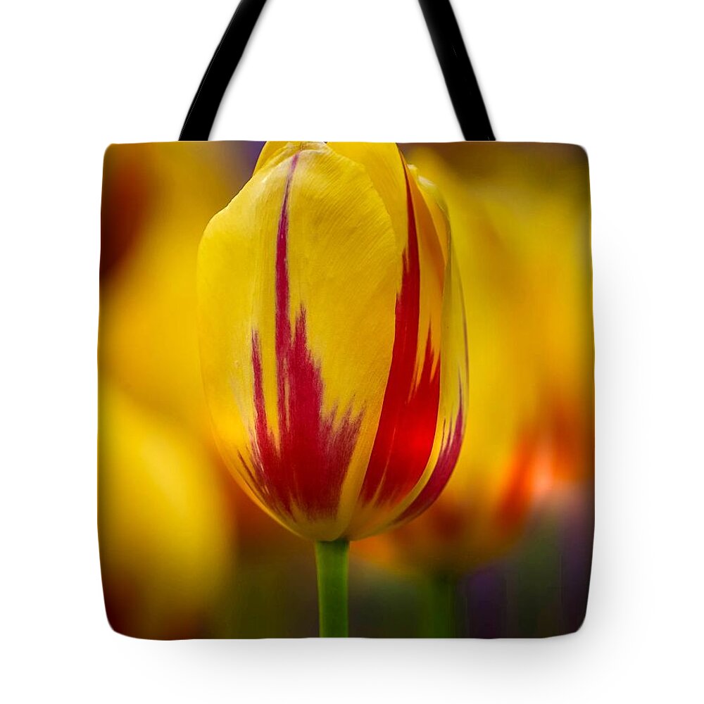 Flame Tote Bag featuring the photograph Olympic Flame Tulip by Susan Rydberg