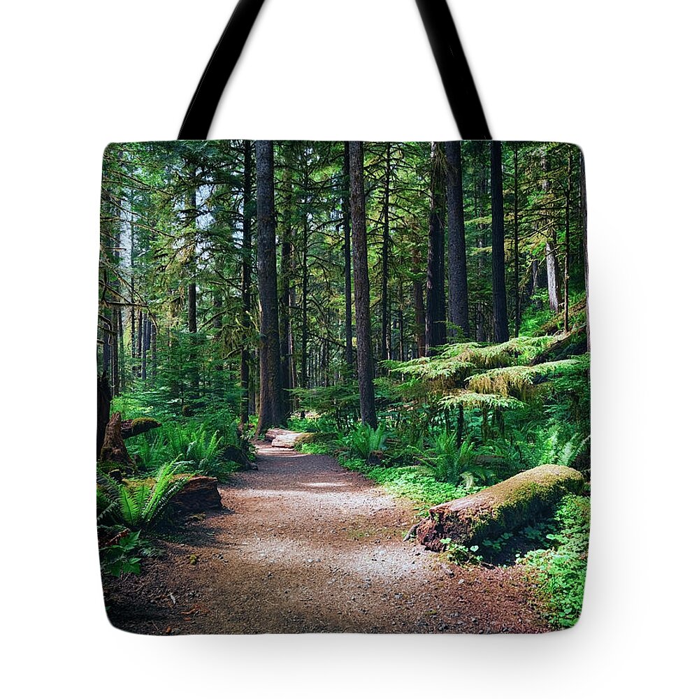 Hoh Rain Forest Tote Bags
