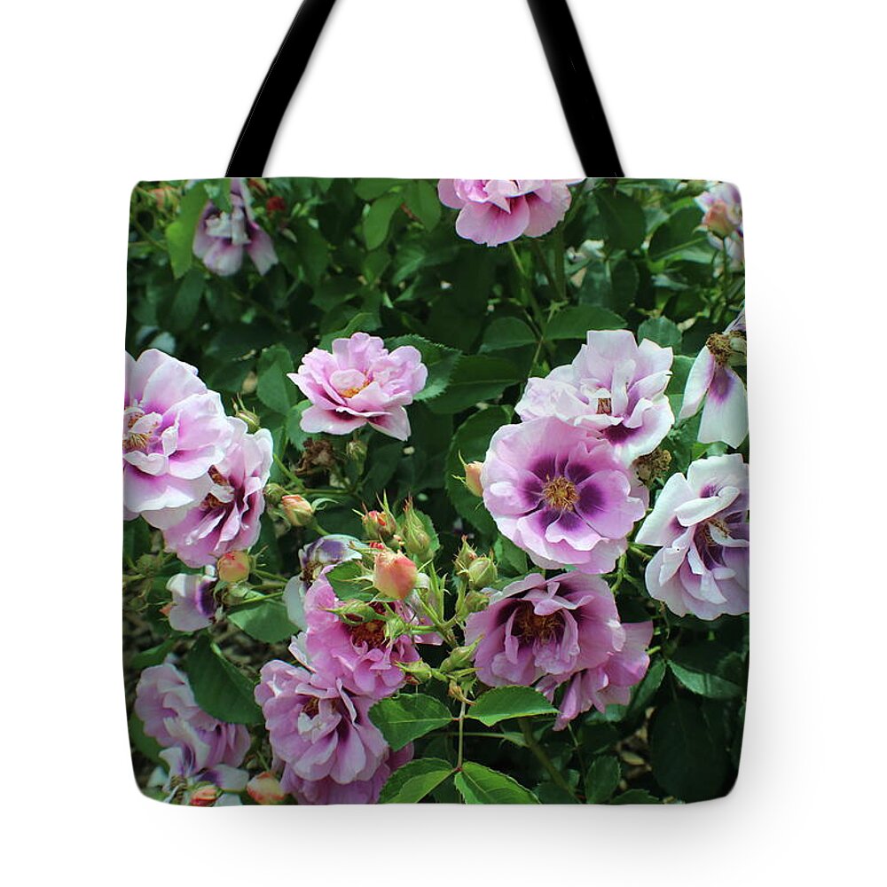 Ombre Tote Bag featuring the photograph Ombre Flower Joy by Kenneth Pope