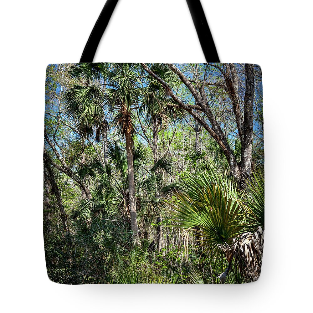 Florida Tote Bag featuring the photograph On a Florida Hike - 3 by W Chris Fooshee