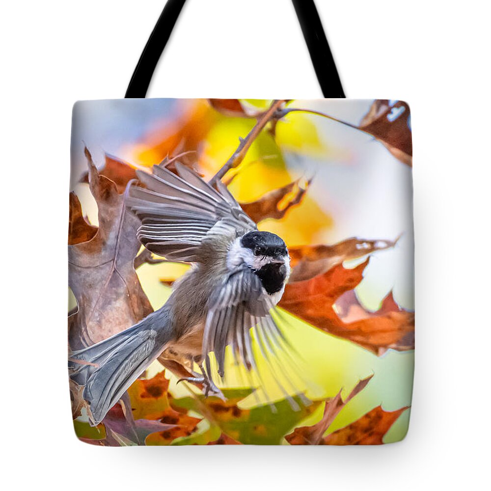 Bird Tote Bag featuring the photograph On a Wing and a Prayer by Linda Bonaccorsi