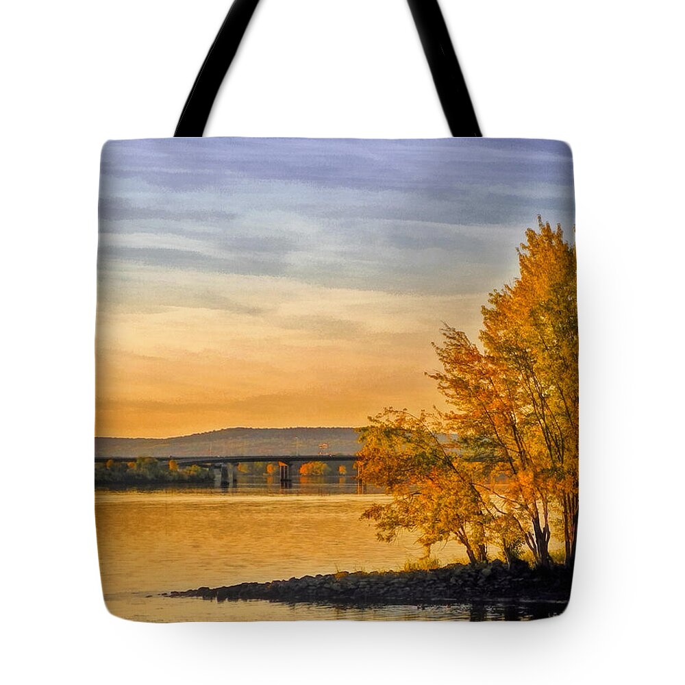 Trees Tote Bag featuring the photograph On Golden Point by Carol Randall