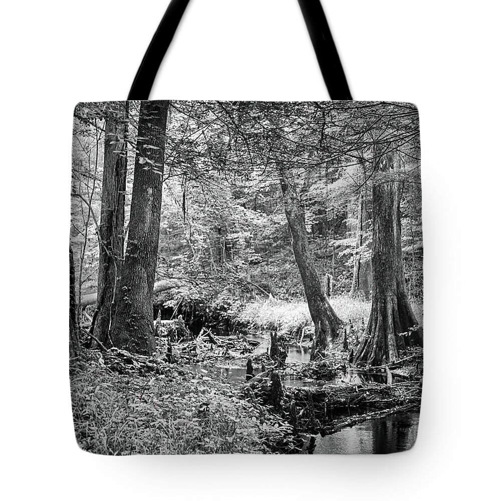 Island Creek Tote Bag featuring the photograph On Island Creek in the Croatan by Bob Decker
