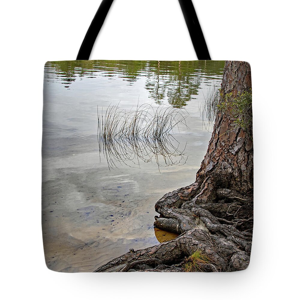Bayou Tote Bag featuring the photograph On the Bayou by M Kathleen Warren