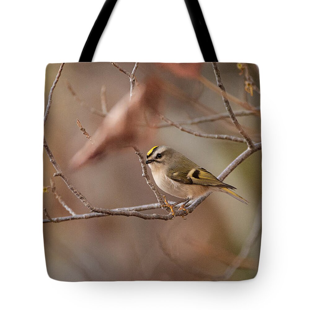 Bird Tote Bag featuring the photograph On the Fly by Linda Bonaccorsi