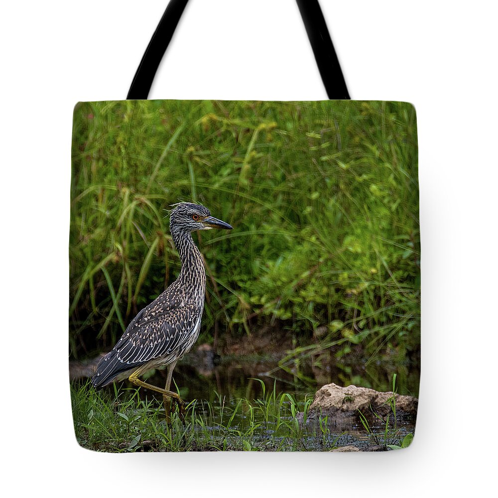 Animals Tote Bag featuring the photograph On the Hunt by Brian Shoemaker