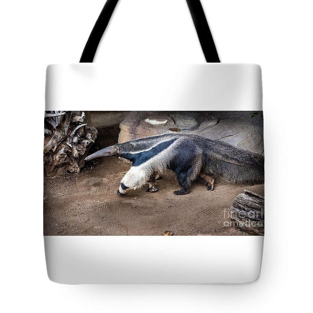 Brown Tote Bag featuring the photograph On the Hunt by David Levin