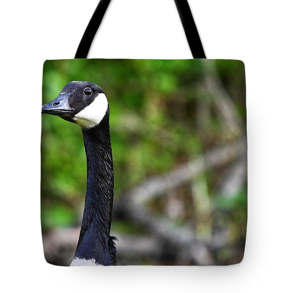 Goose Tote Bag featuring the photograph On the Lookout by Evan Foster
