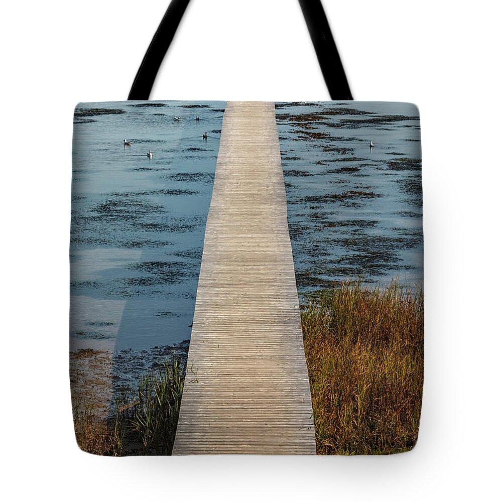 Bridge Tote Bag featuring the photograph On the other side by Mike Santis
