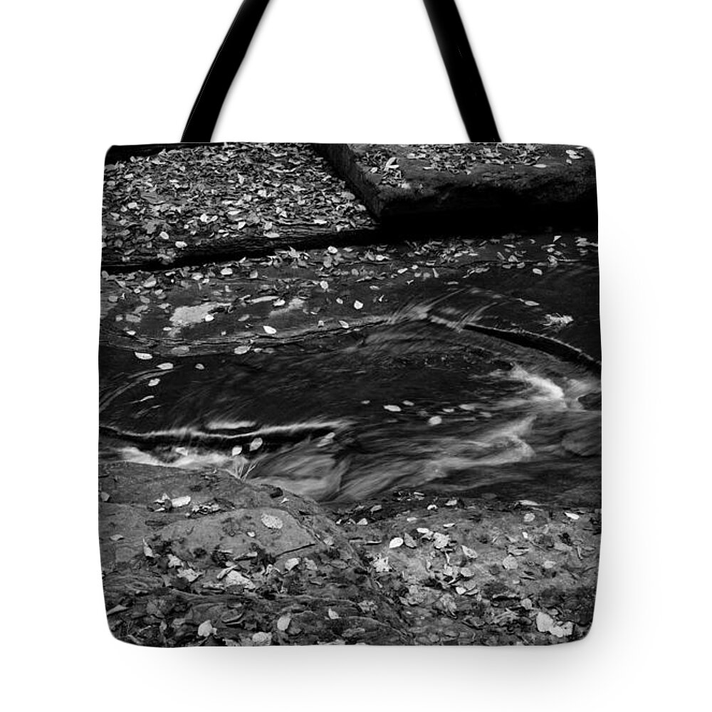 Watkins Glen State Park Sp Tote Bag featuring the photograph On the Rocks 2 by fototaker Tony