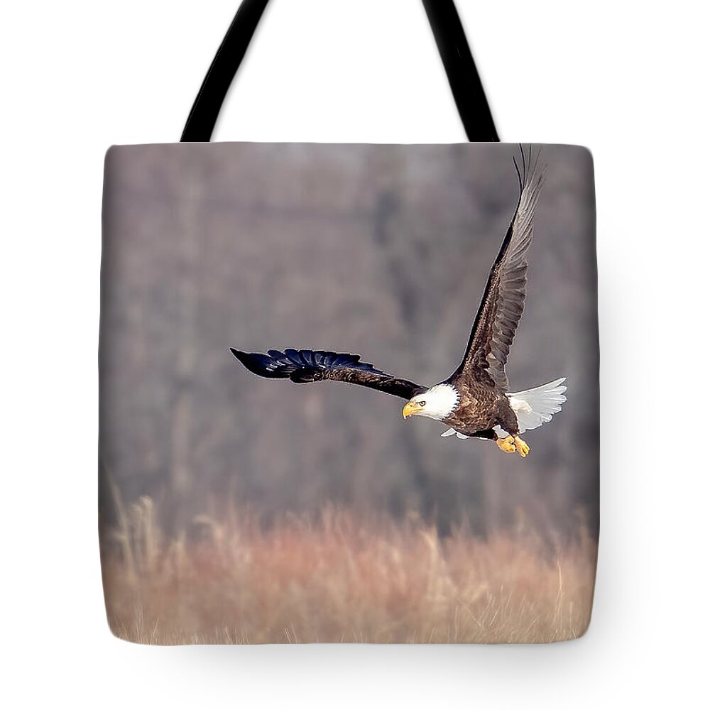 Eagle Tote Bag featuring the photograph On the Wing by Rod Best