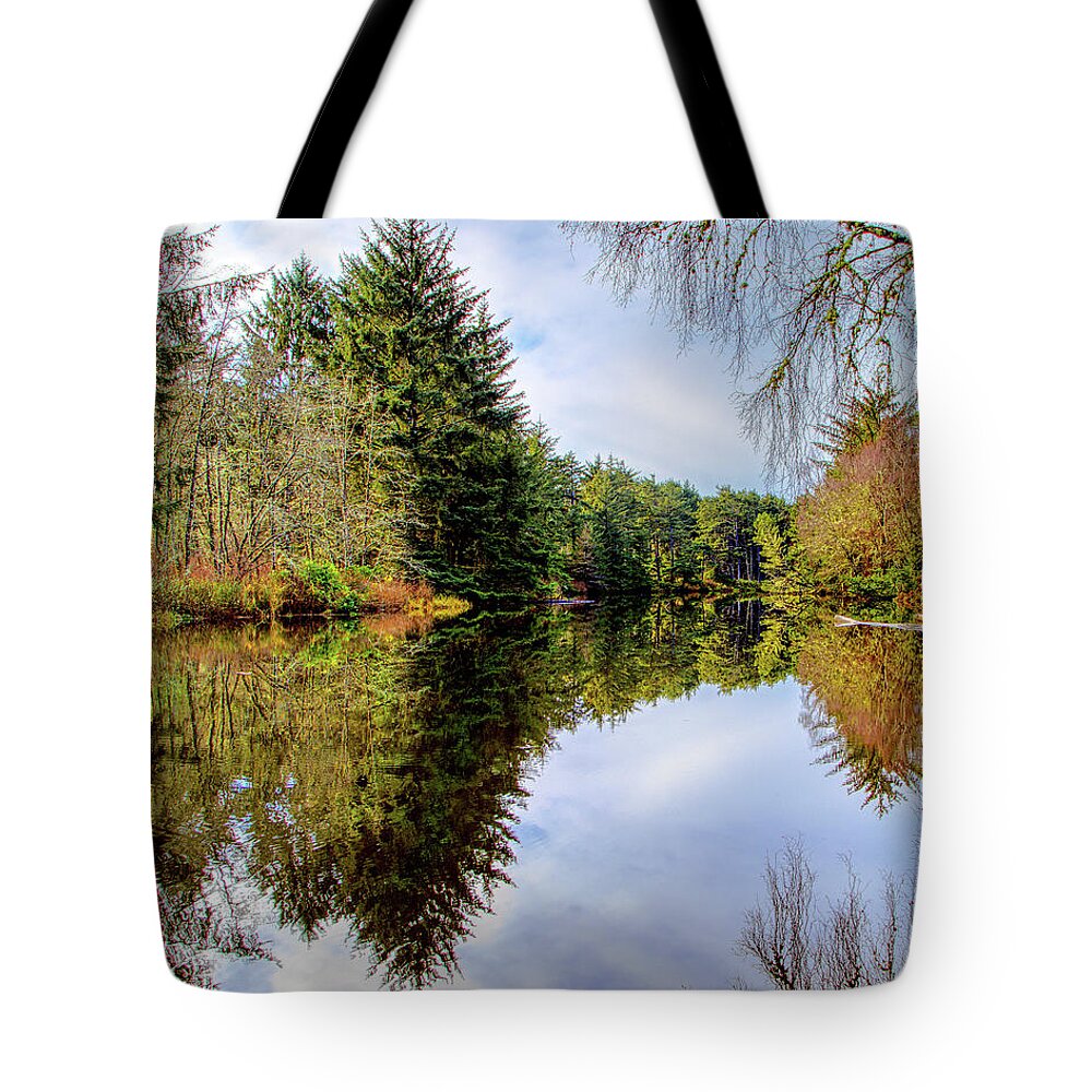 Reflections Tote Bag featuring the photograph Ona State Park by Loyd Towe Photography