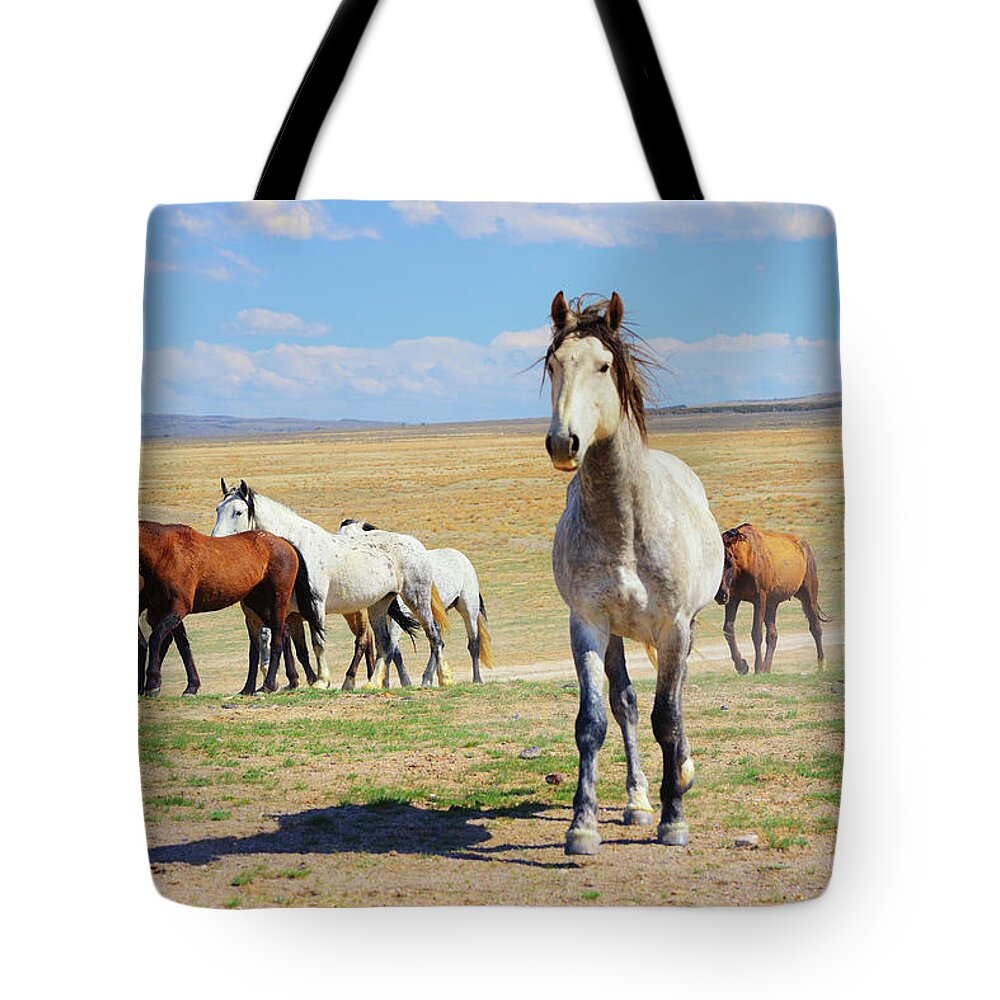 Onaqui Tote Bag featuring the photograph Onaqui Lookout by Greg Norrell